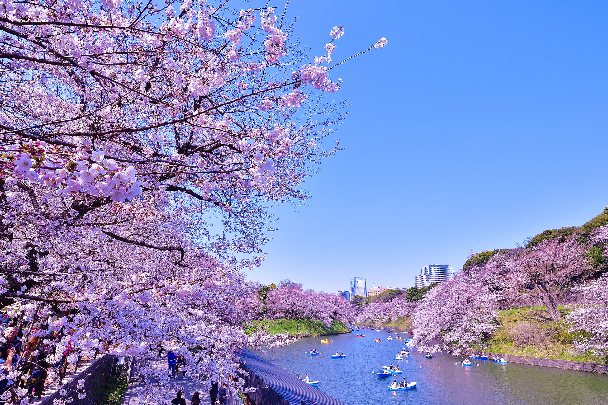 blog-images