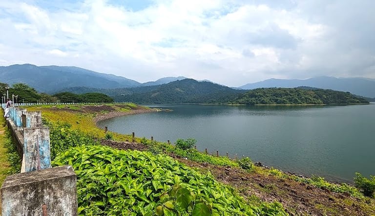 chimmini-wildlife-sanctuary-kerala