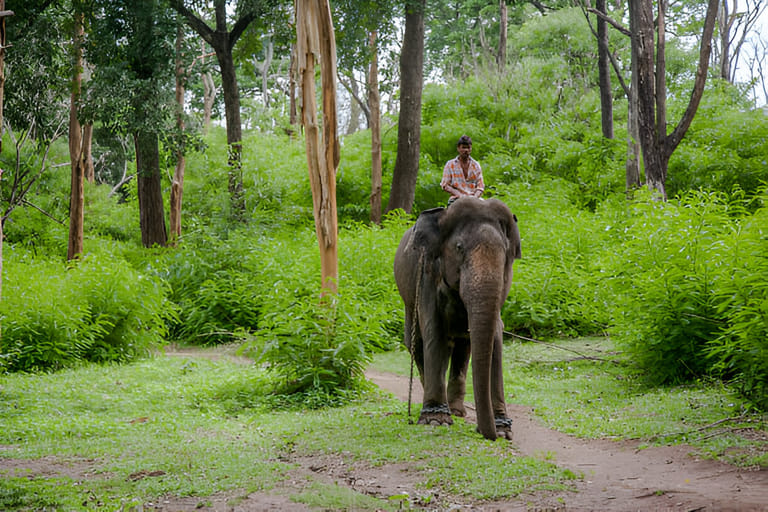 khaling-wildlife-sanctuary