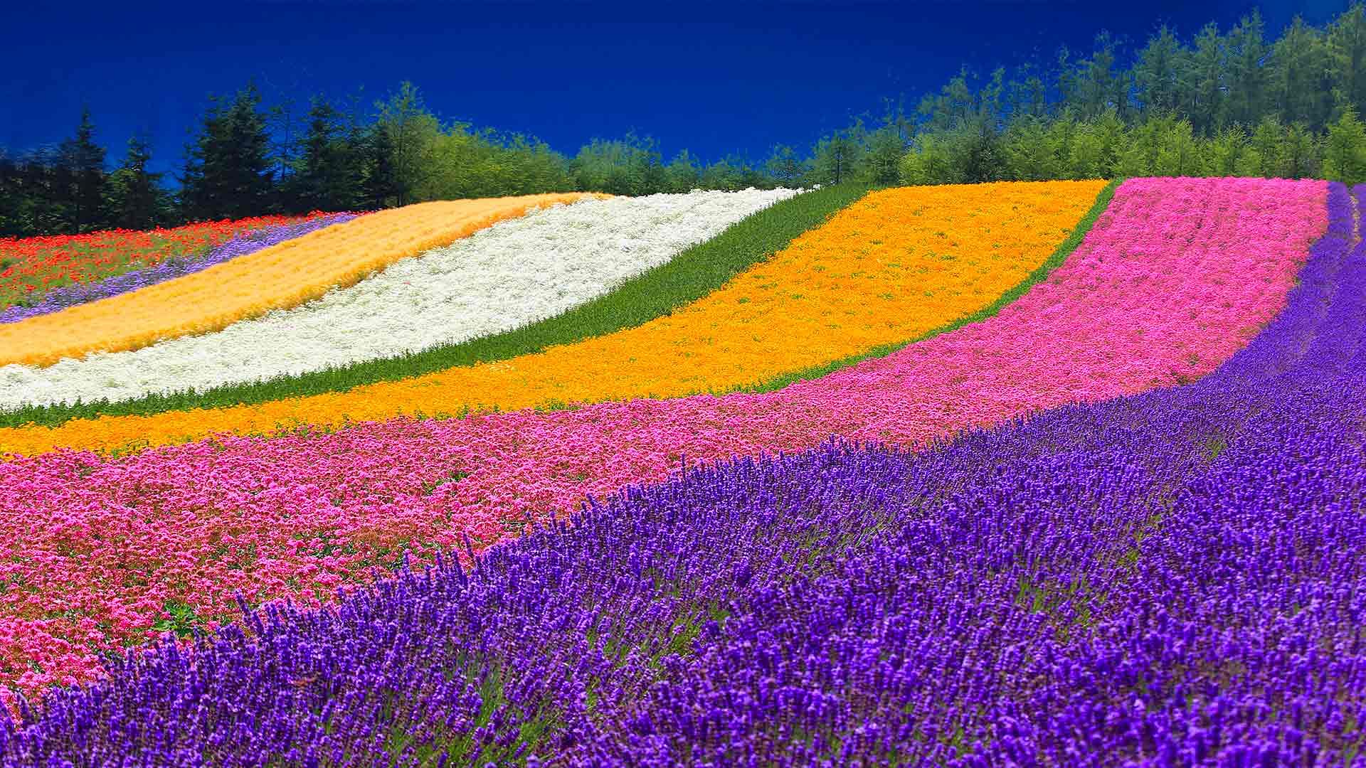 blog-images