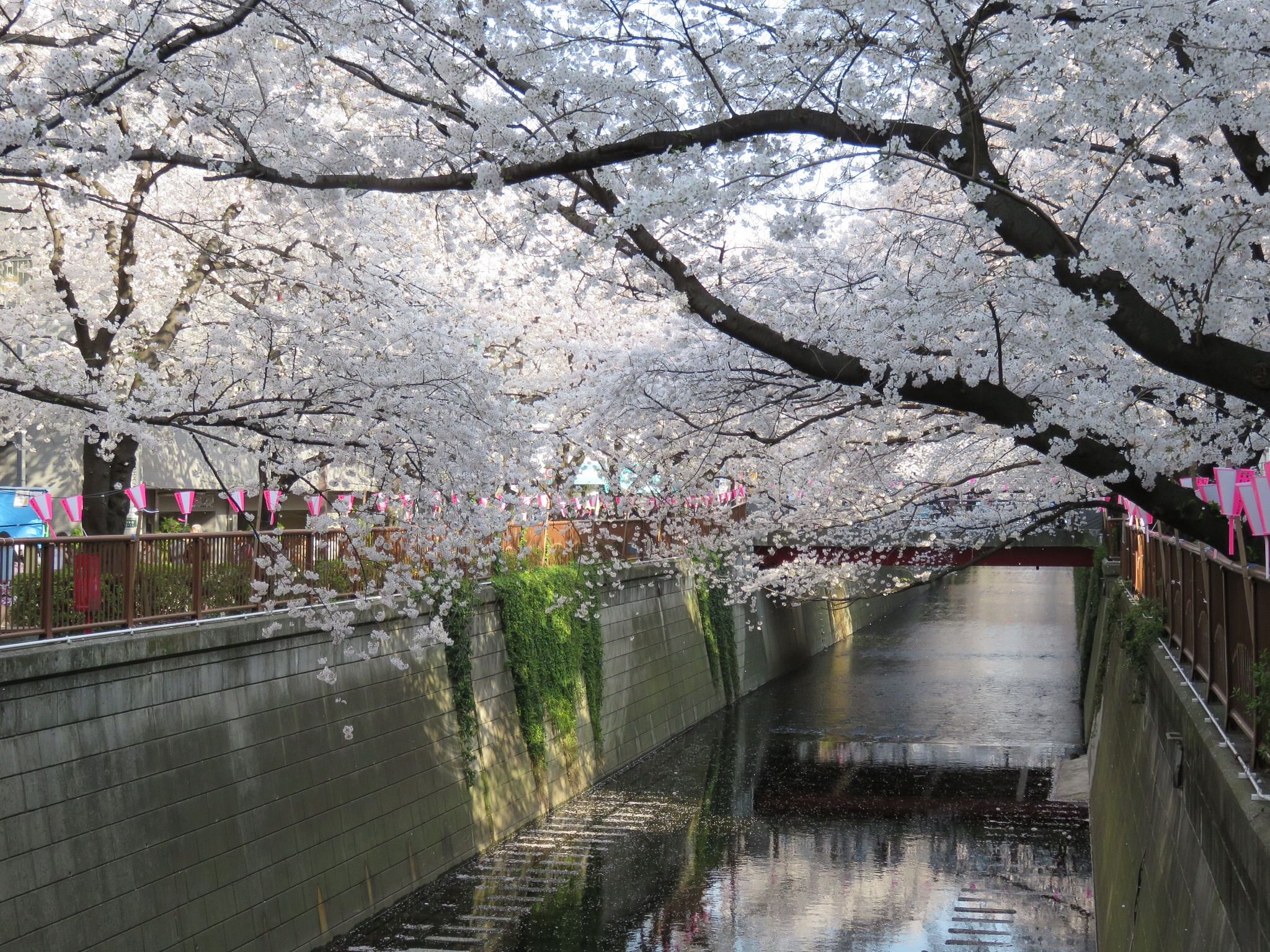 blog-images