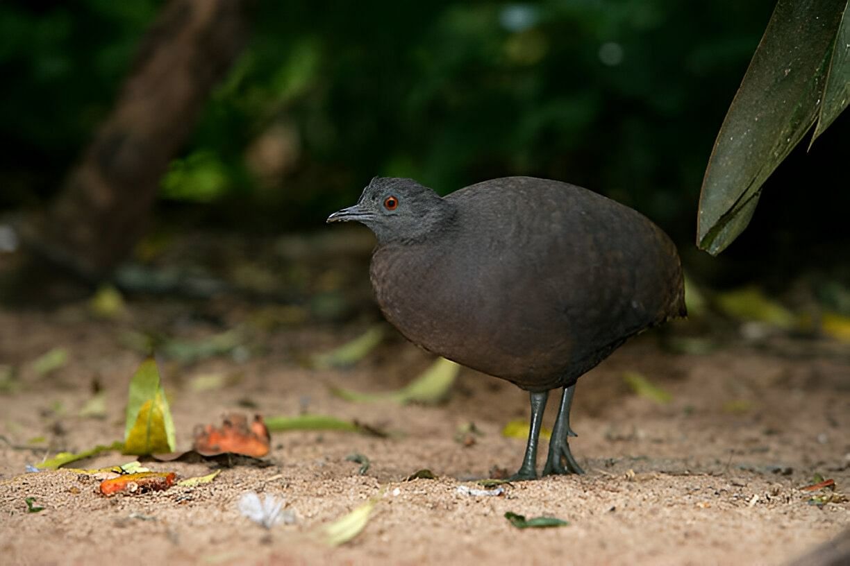 blog-images