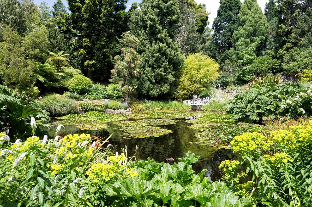 blog-images
