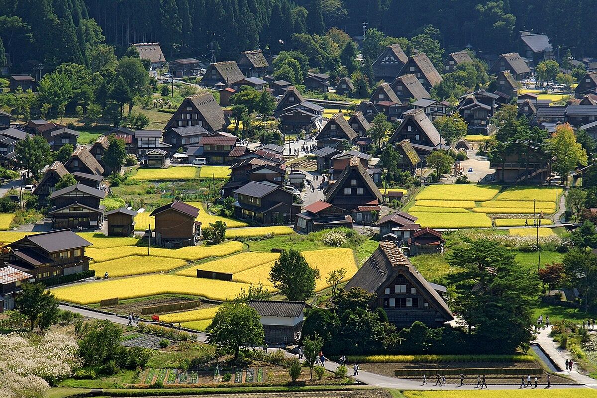 blog-images
