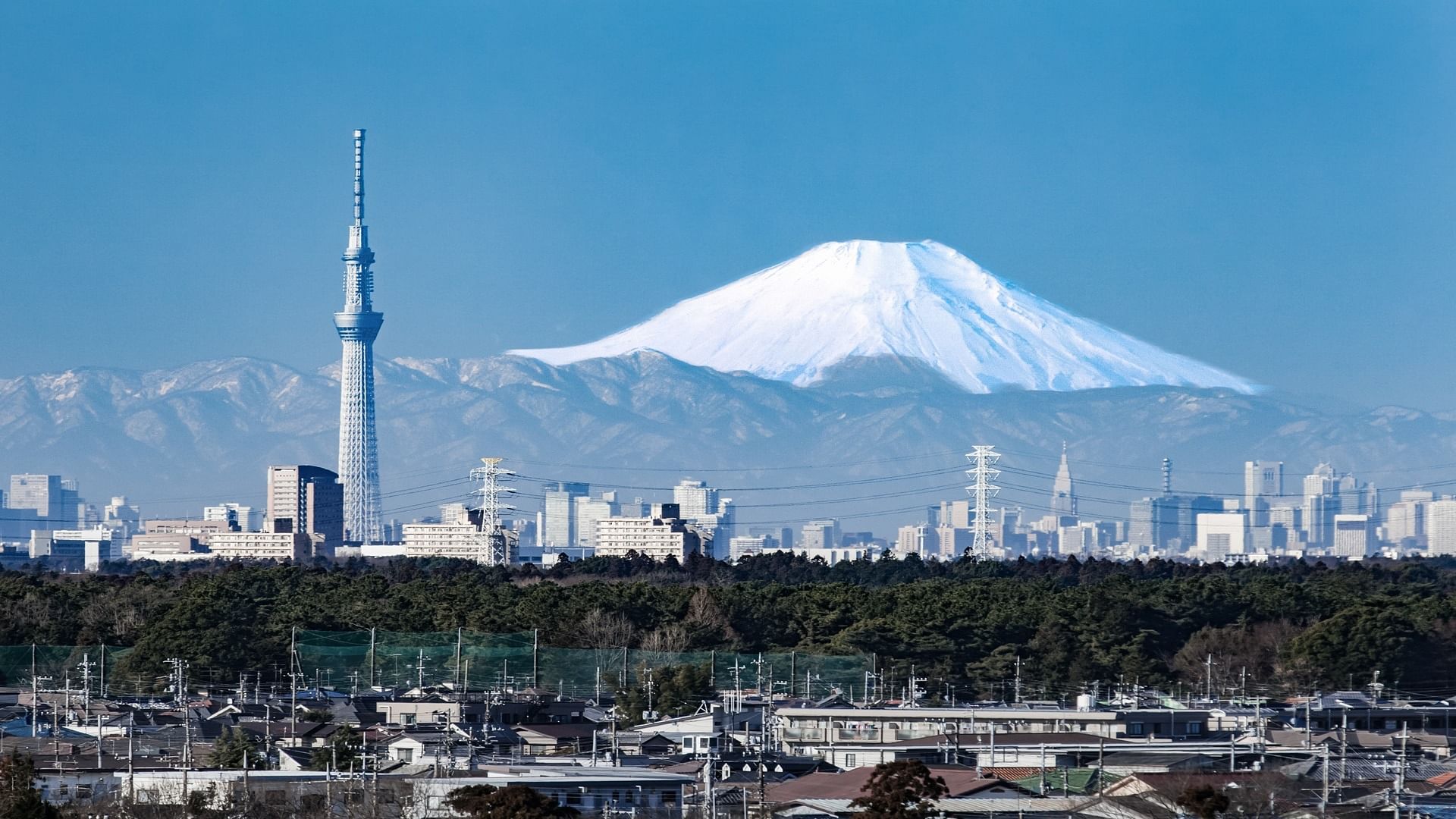 blog-images