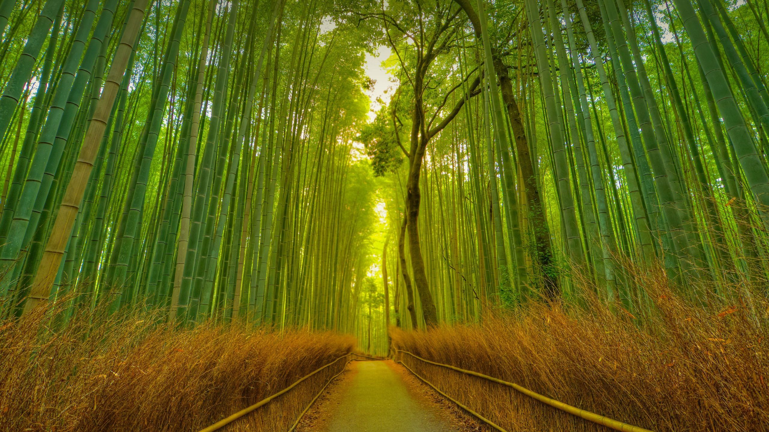 blog-images