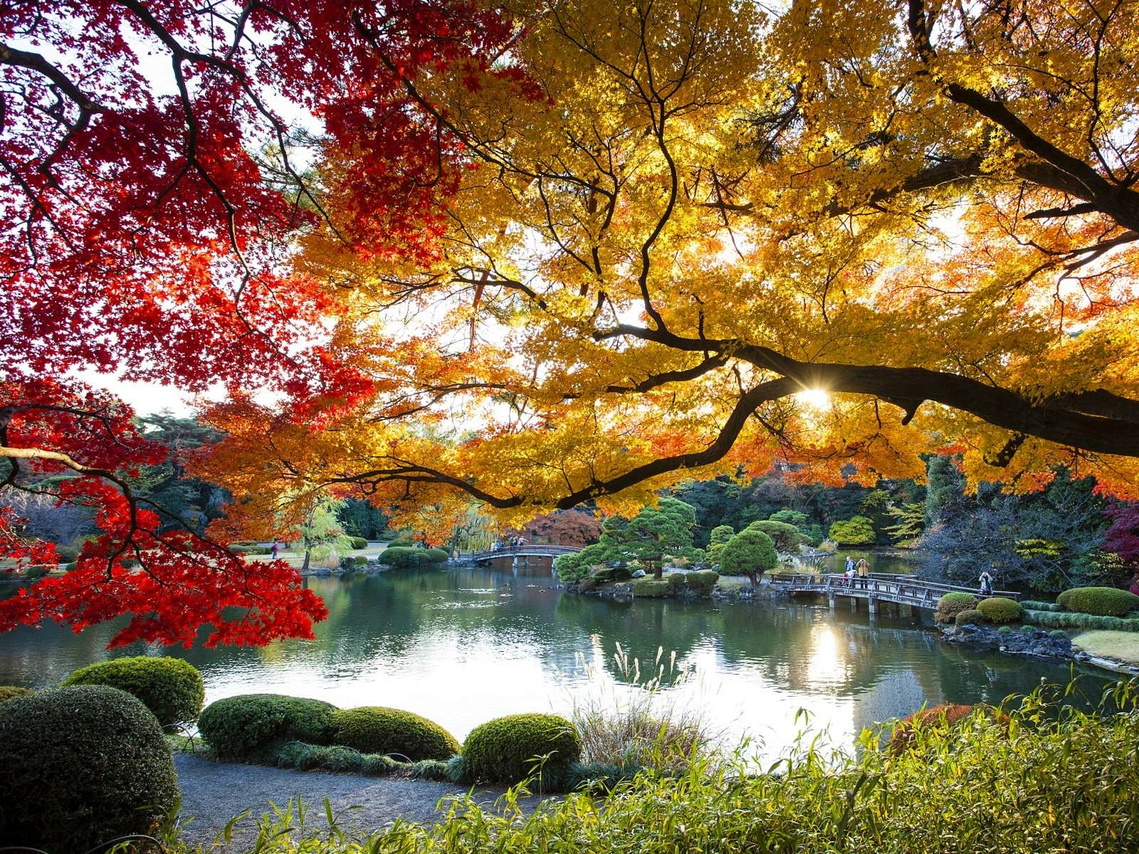 blog-images
