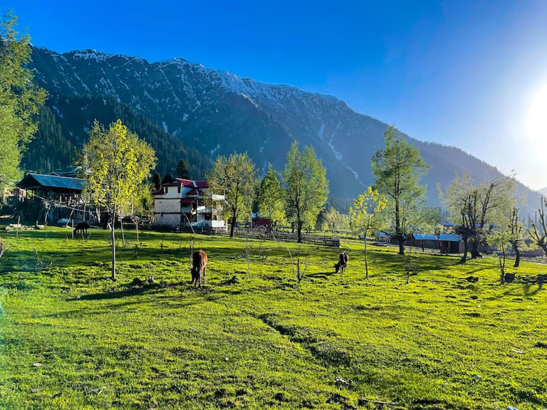 Best time to visit Srinagar