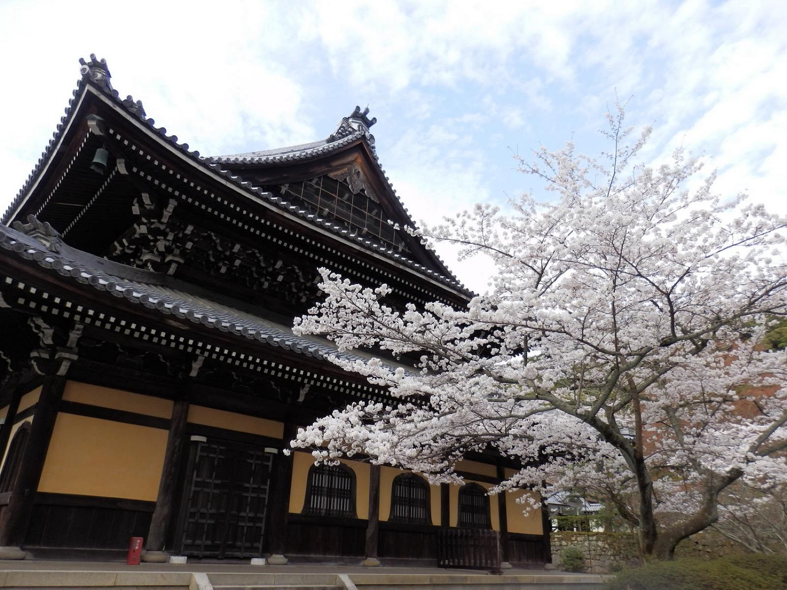 blog-images