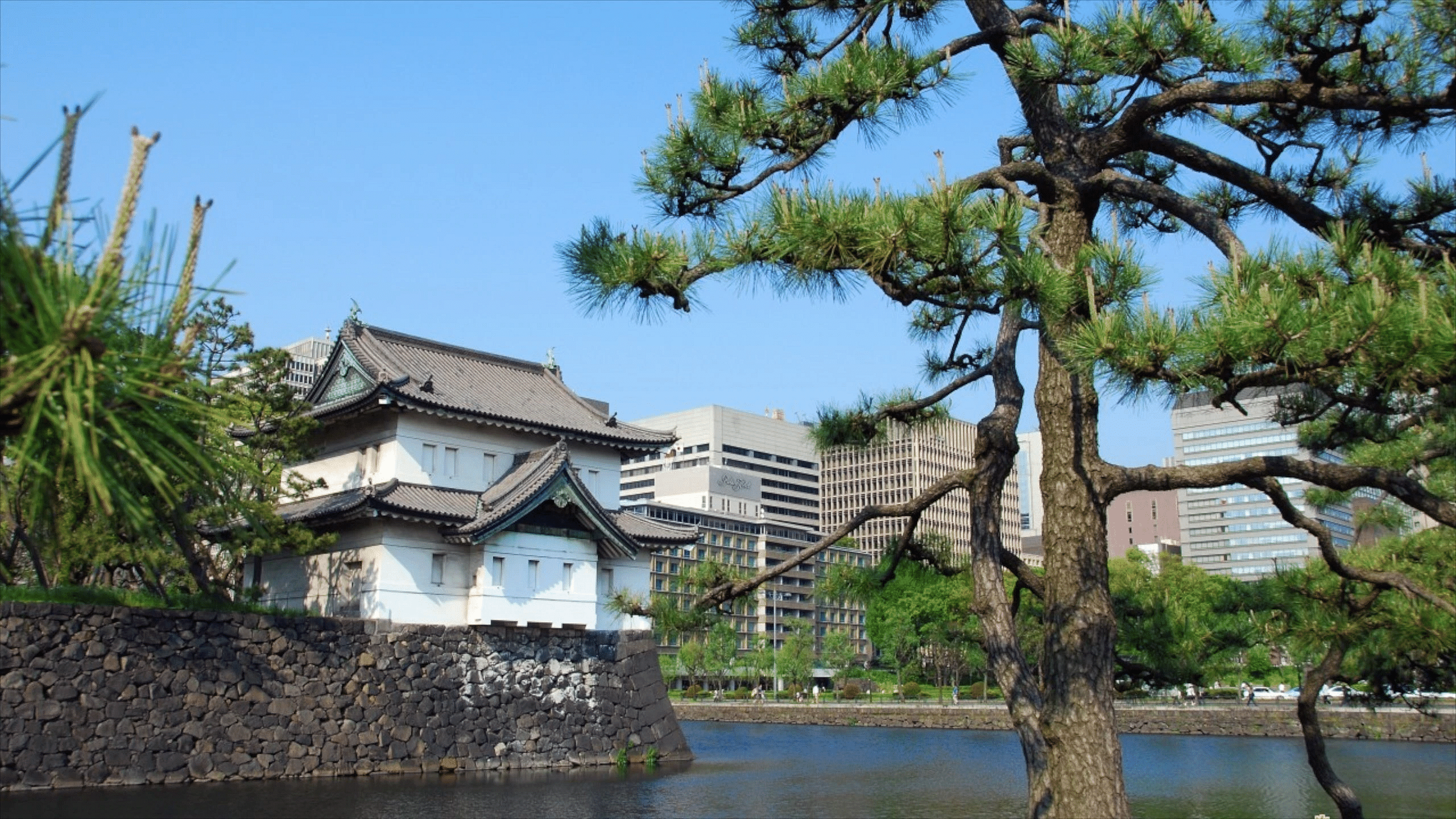 blog-images