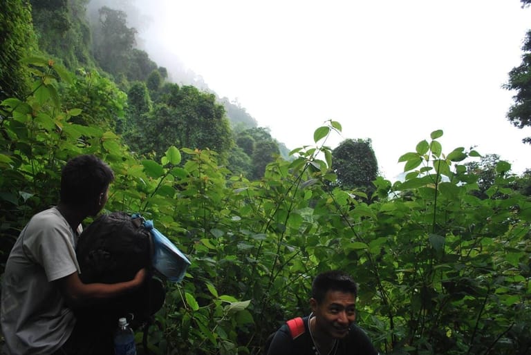 dzukou-valley-trek