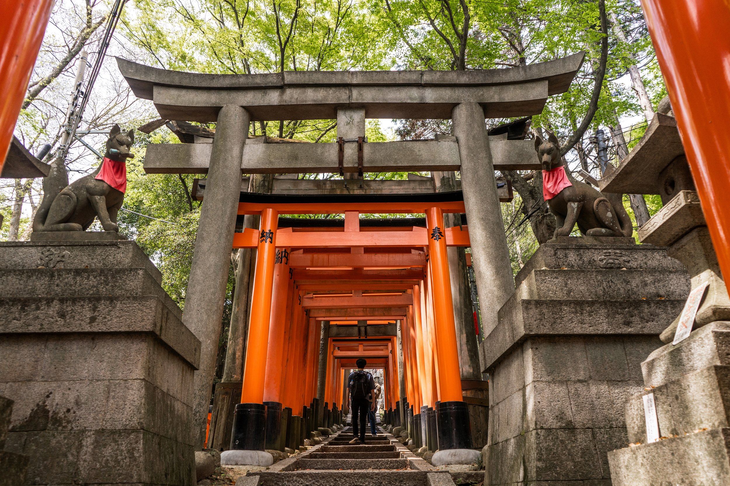 blog-images