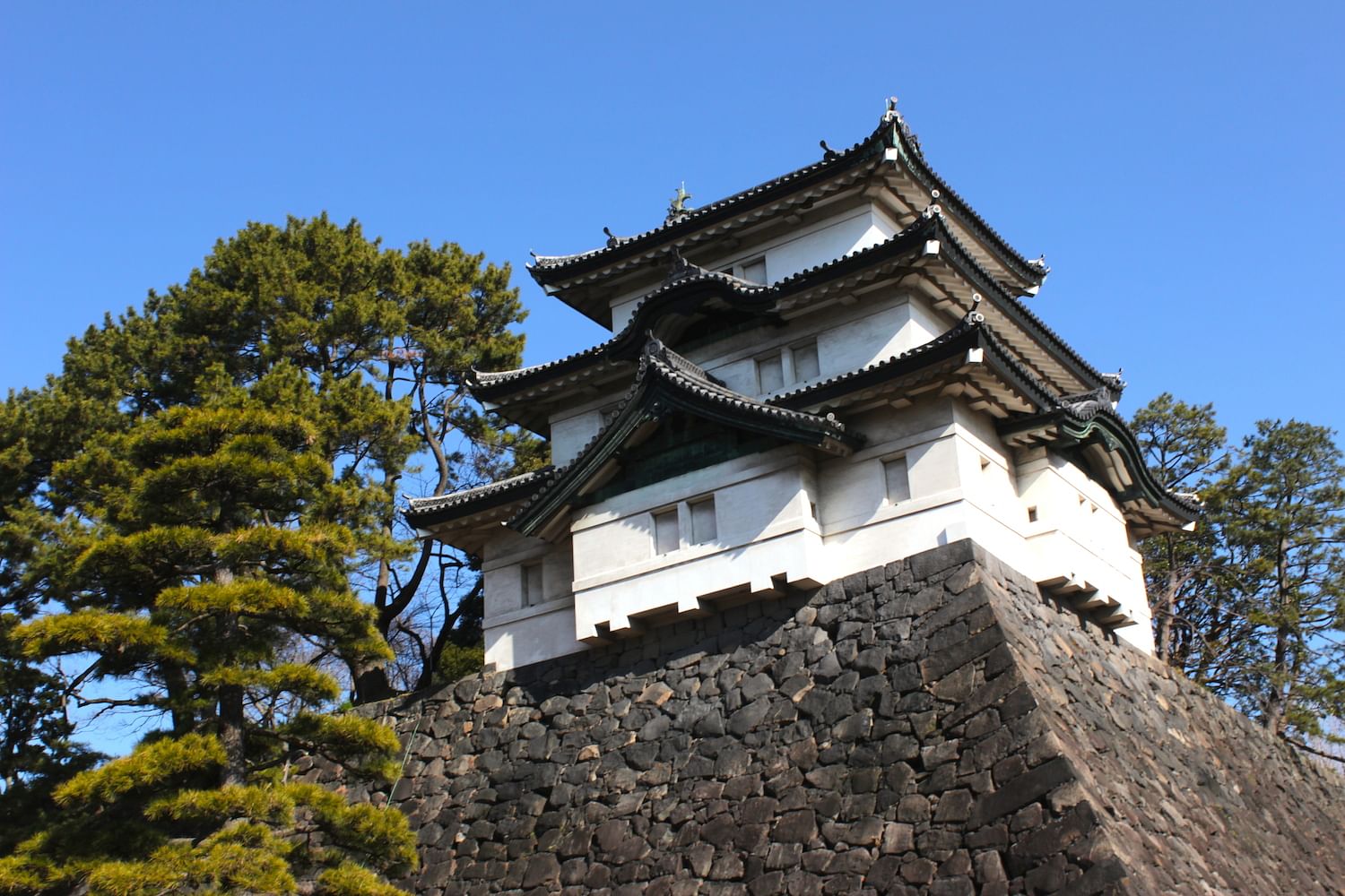 blog-images
