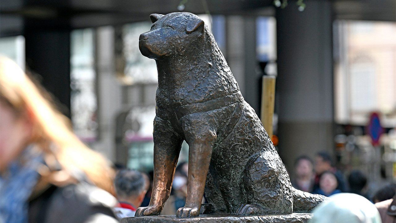blog-images