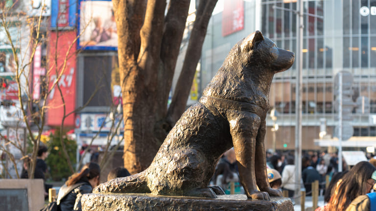 hachiko-statue-tokyo