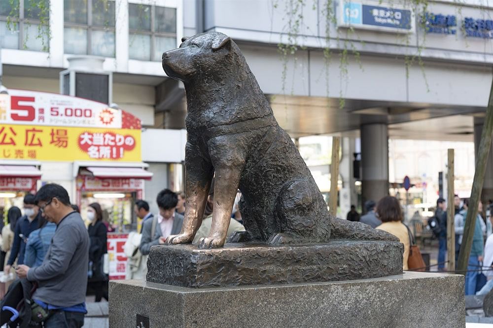 blog-images