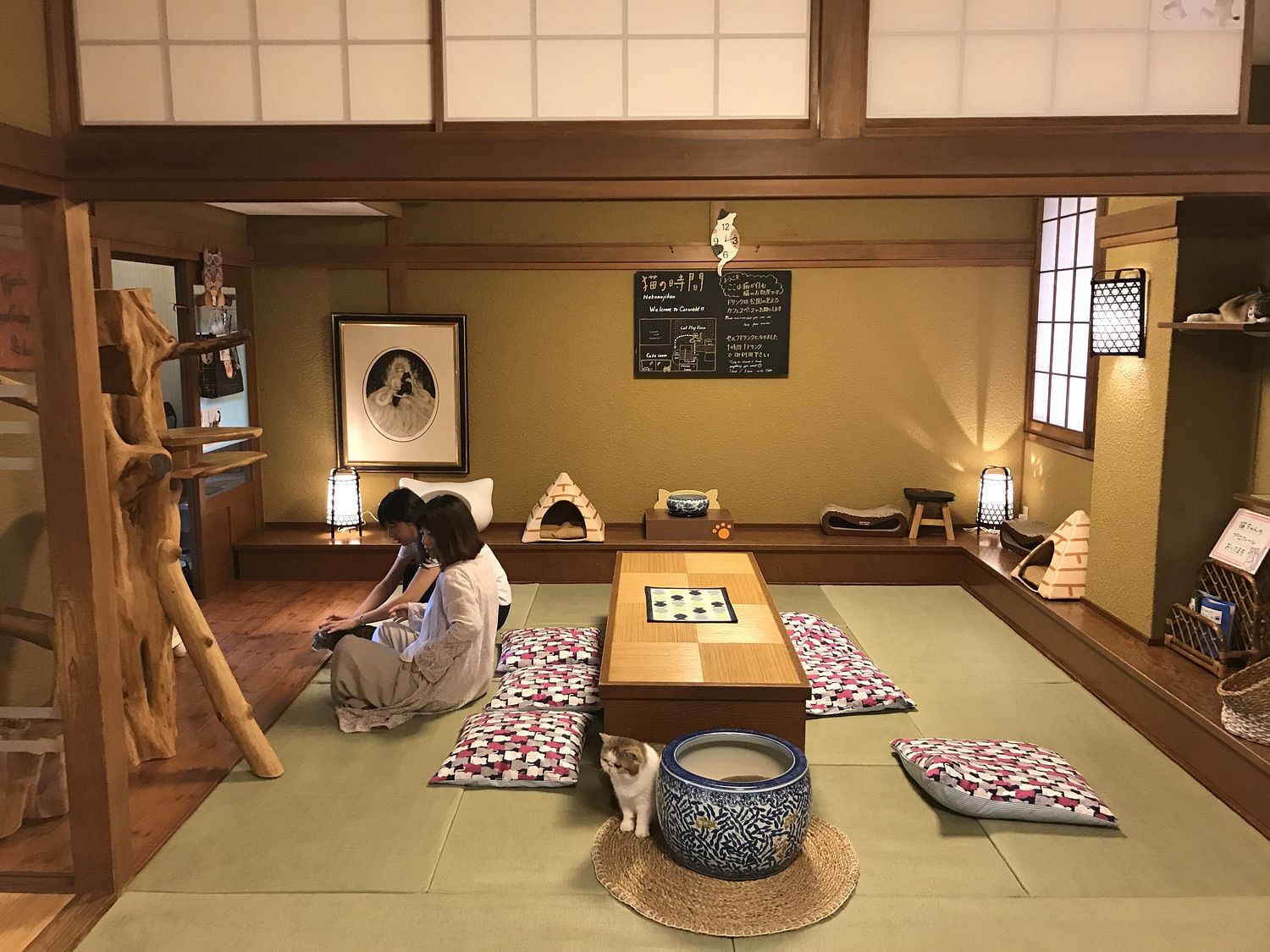 blog-images
