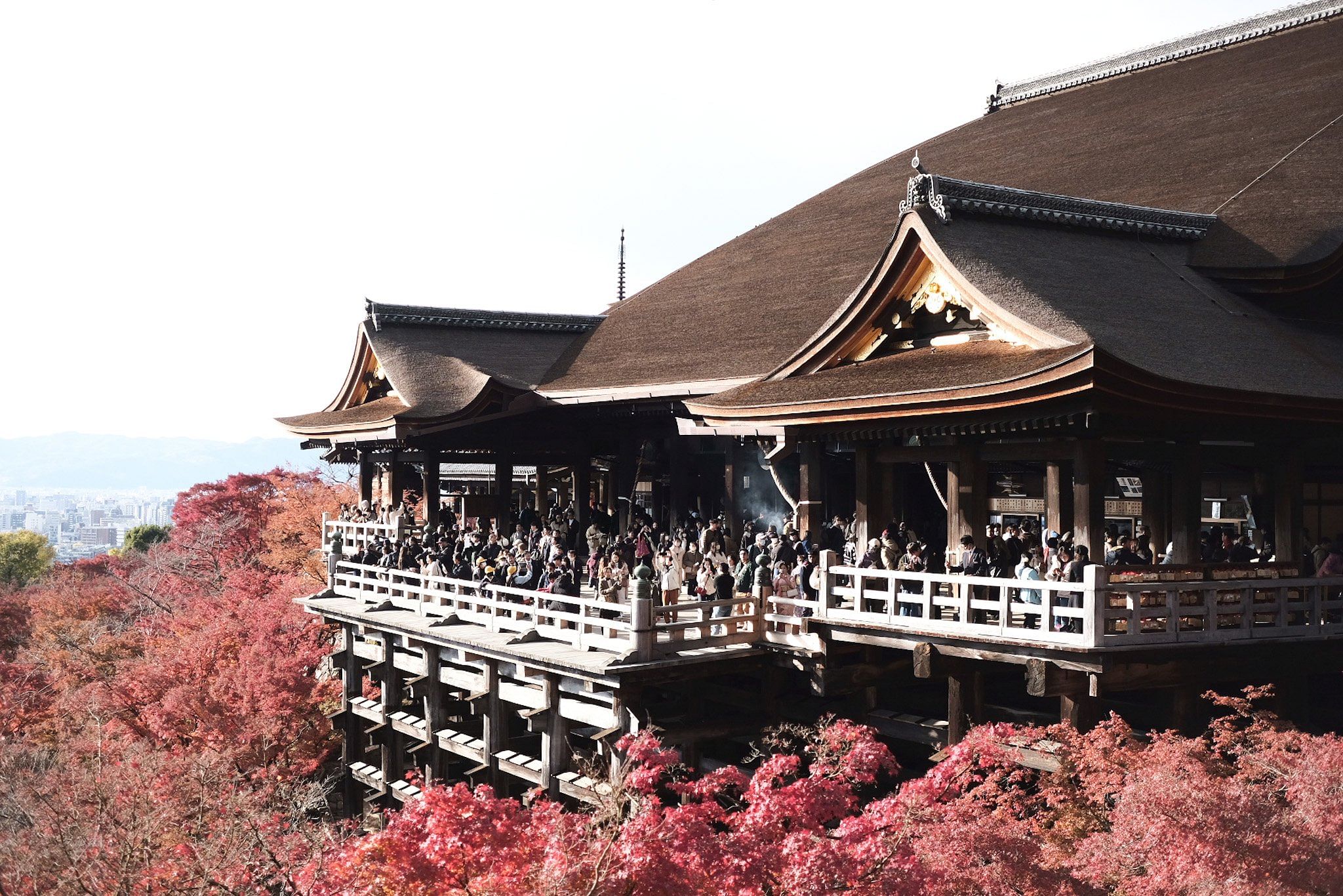 blog-images