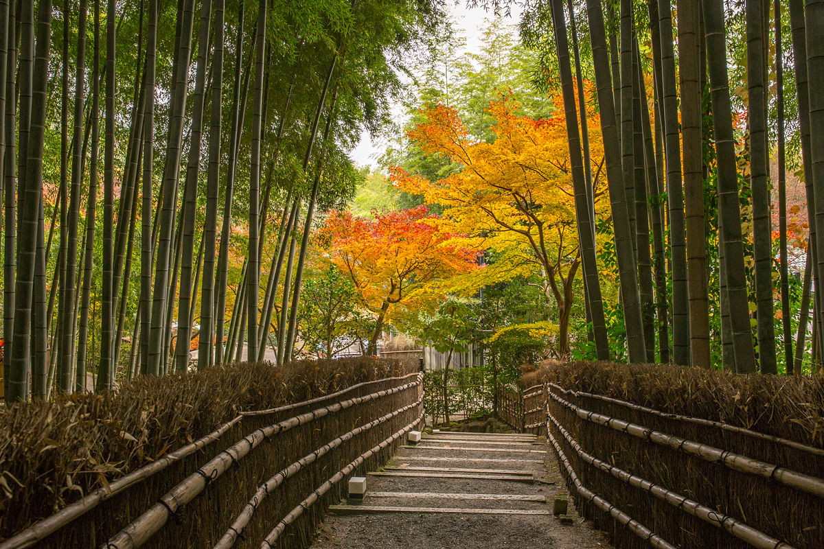 blog-images