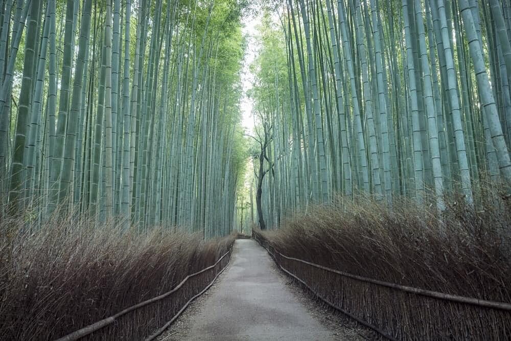blog-images