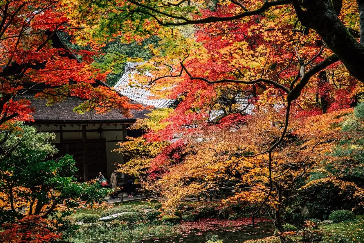 blog-images