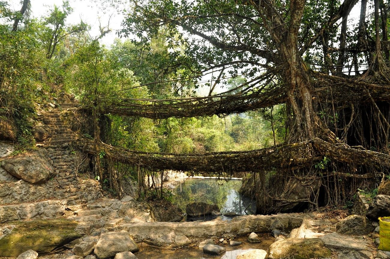 how-to-reach-shillong-from-delhi