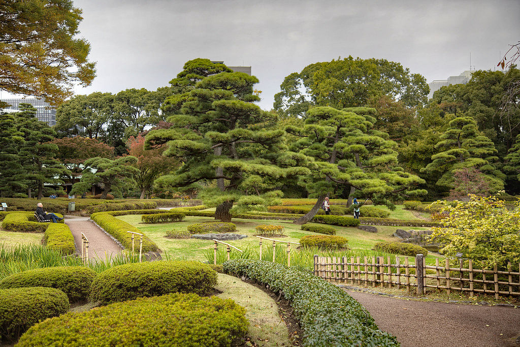 blog-images