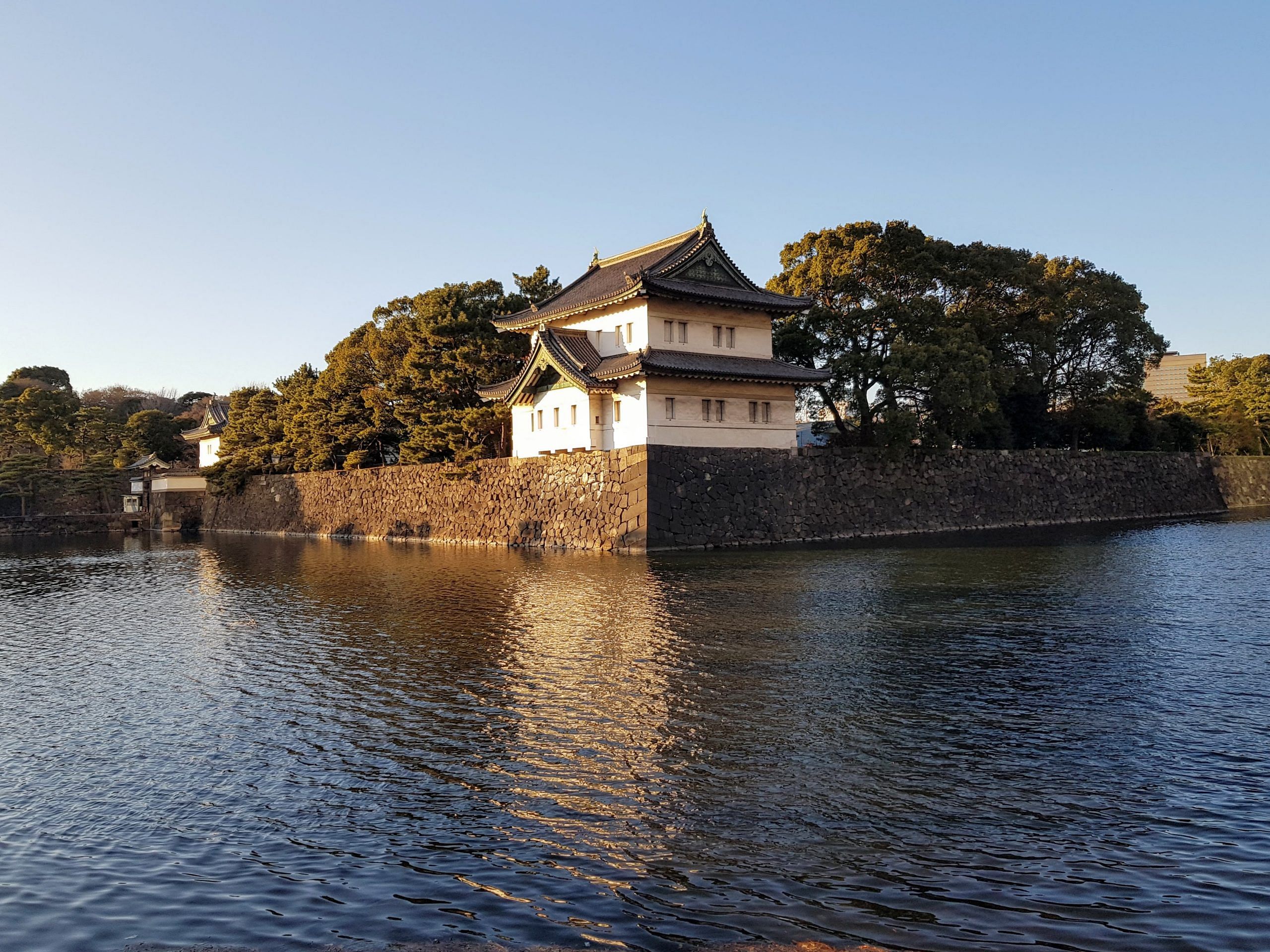 blog-images