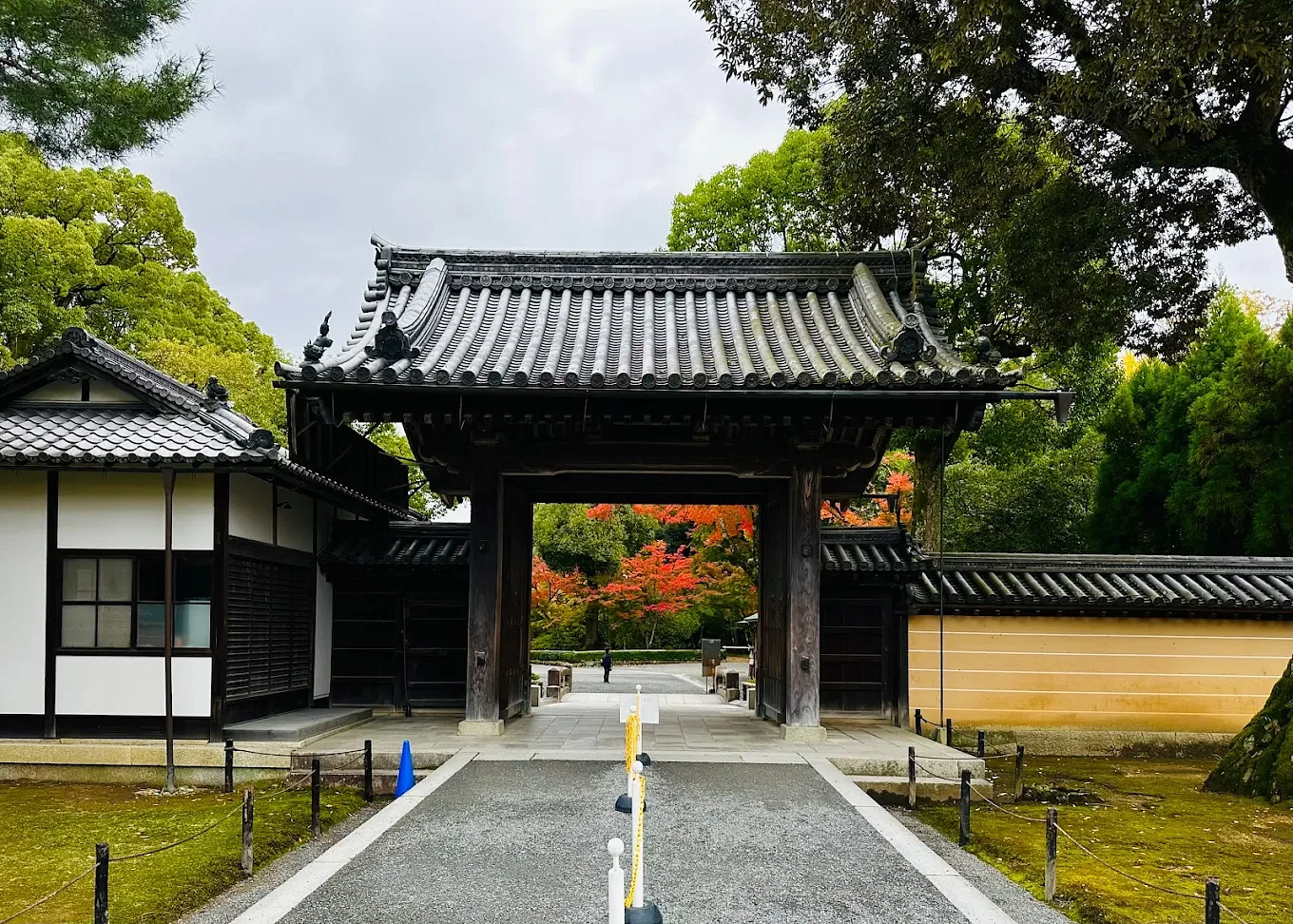 blog-images