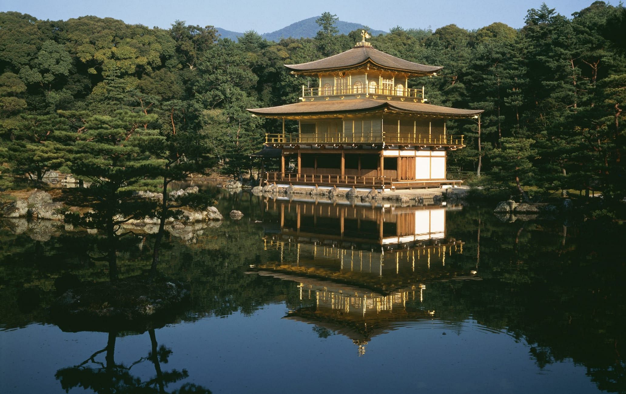 blog-images