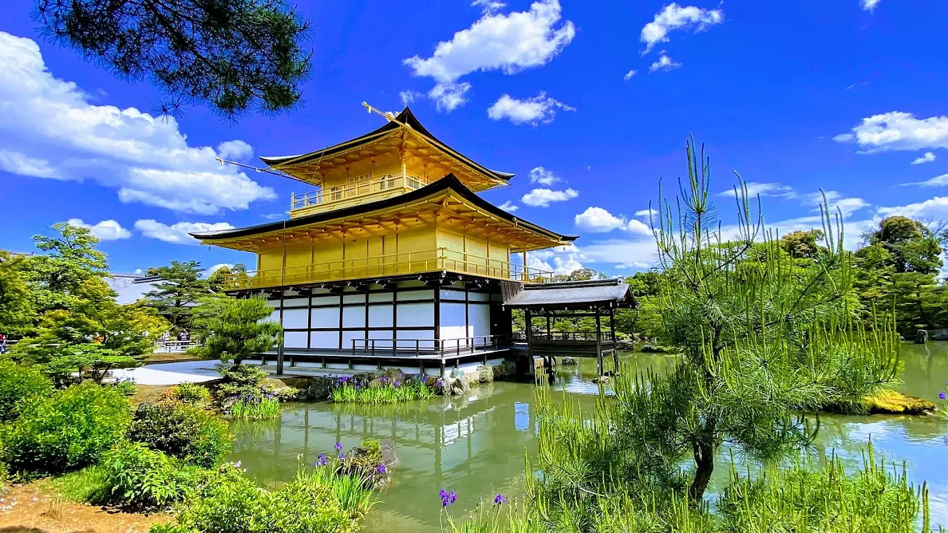 blog-images