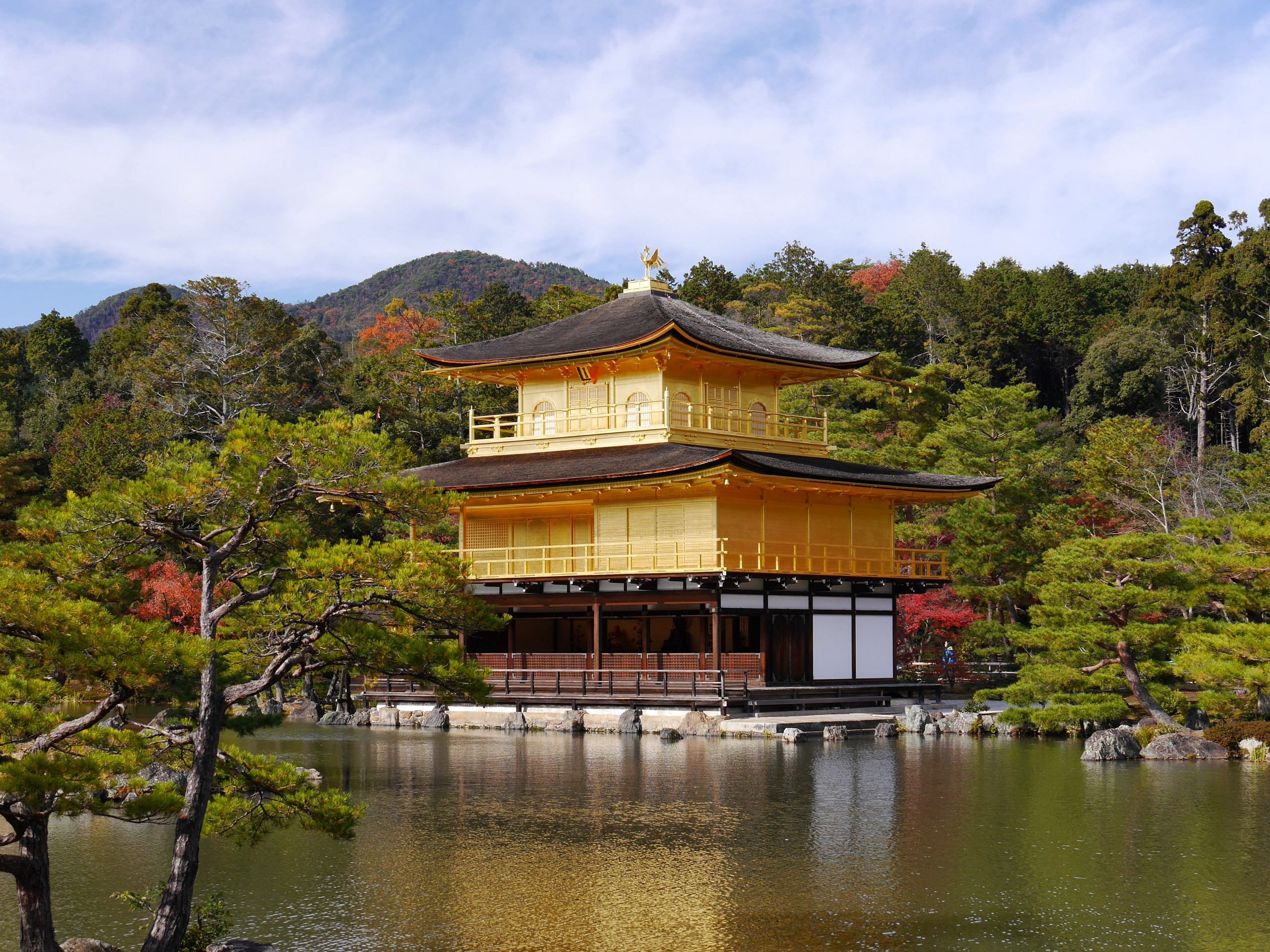 blog-images