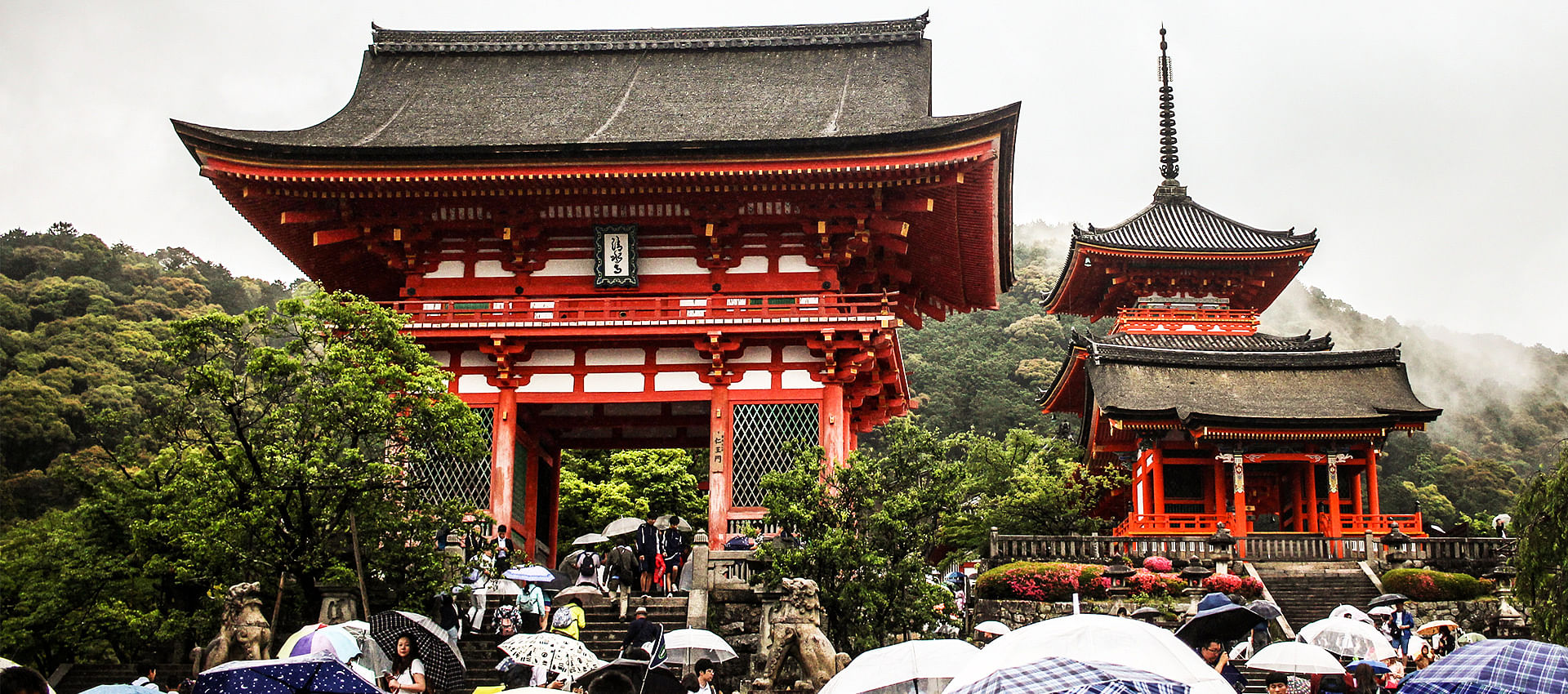 blog-images