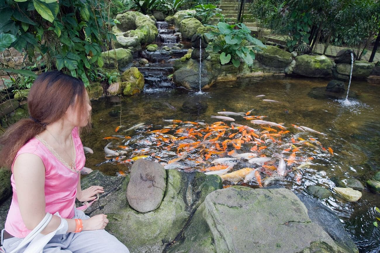 kl-bird-park-kuala-lumpur-malaysia-south-east-asia