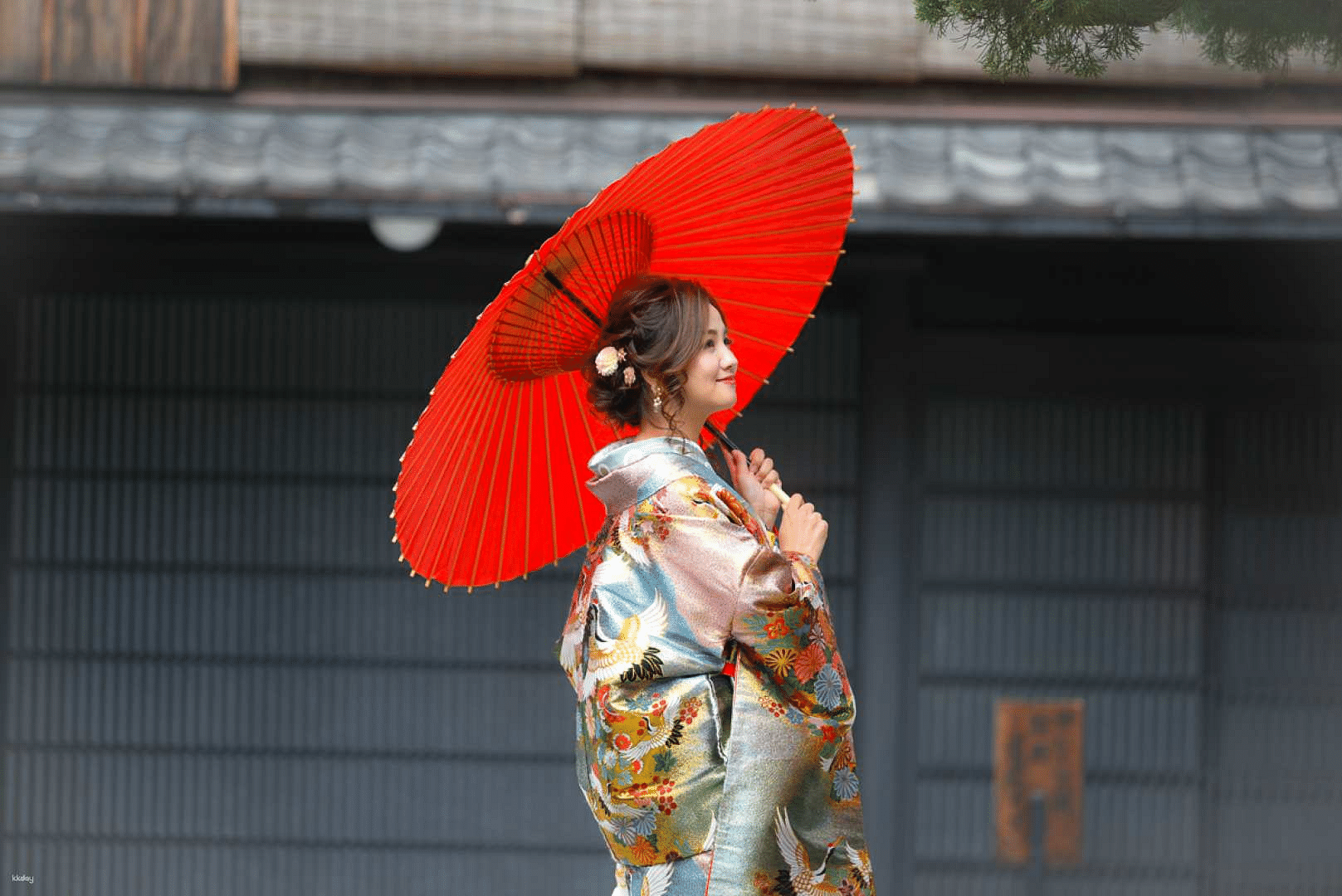 blog-images