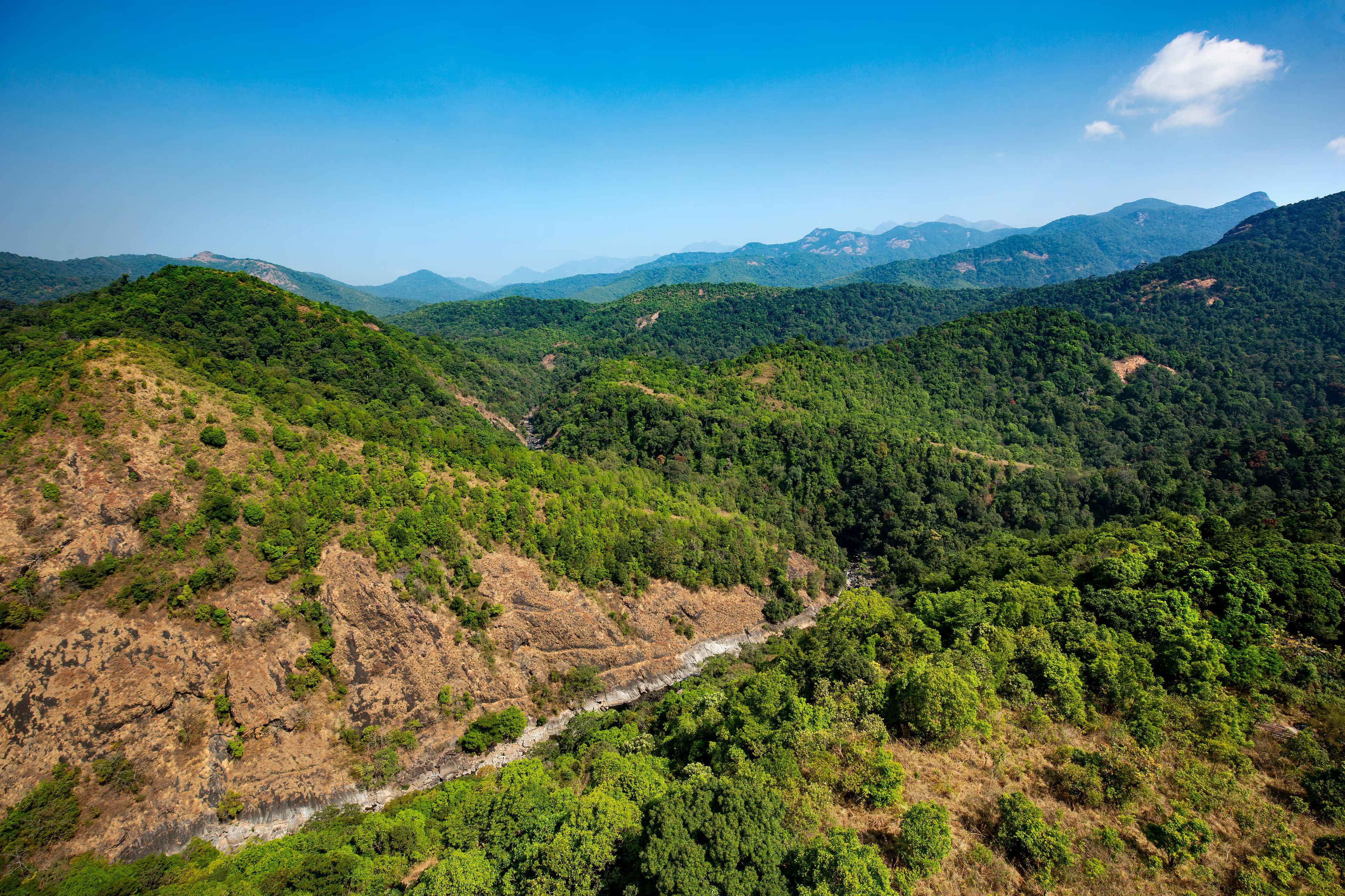 blog-images