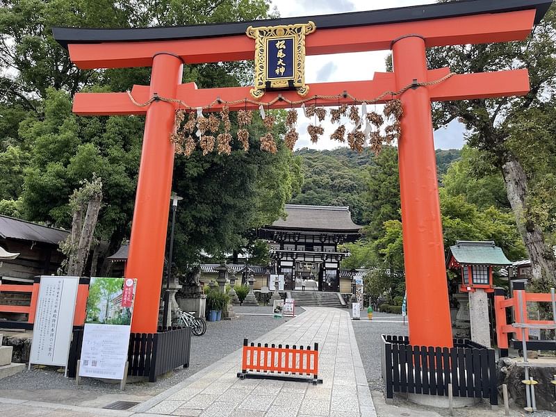 blog-images