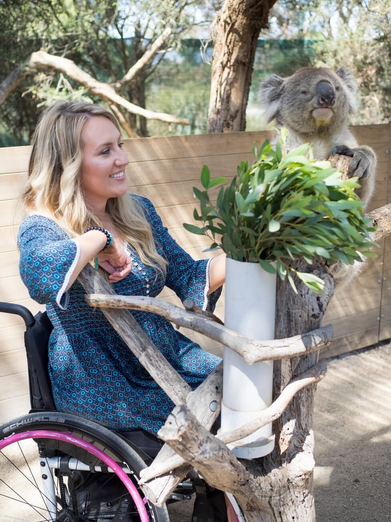 moonlit-sanctuary-australia