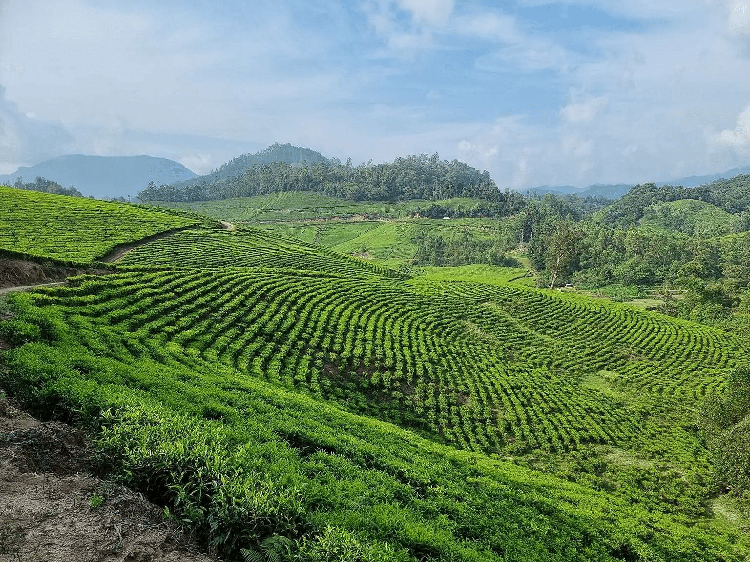 blog-images