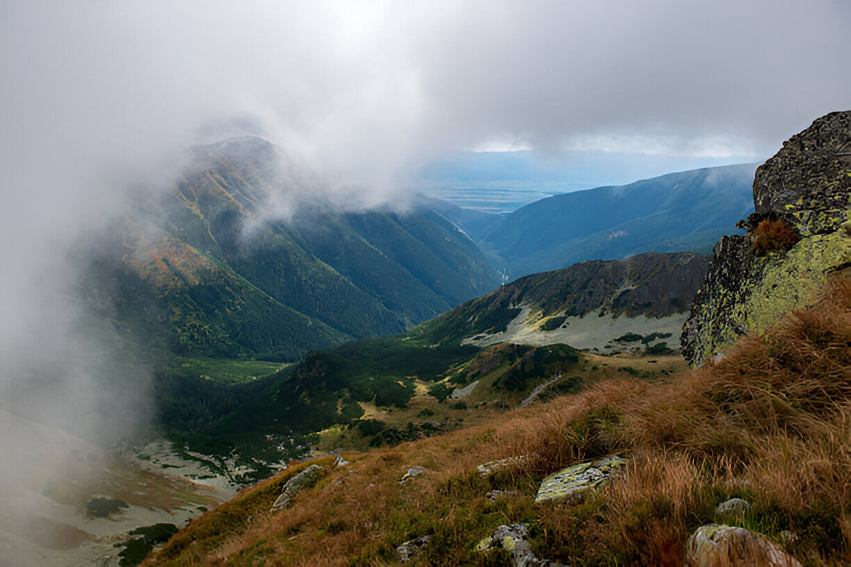 blog-images