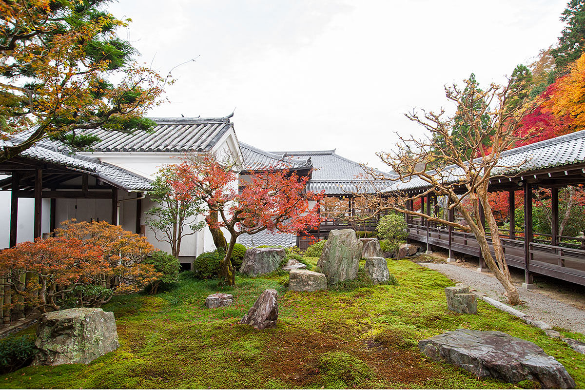 blog-images
