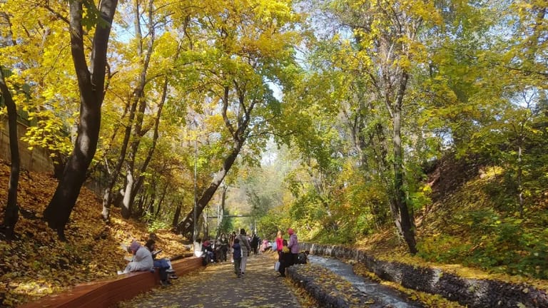 new-terraincure-in-almaty