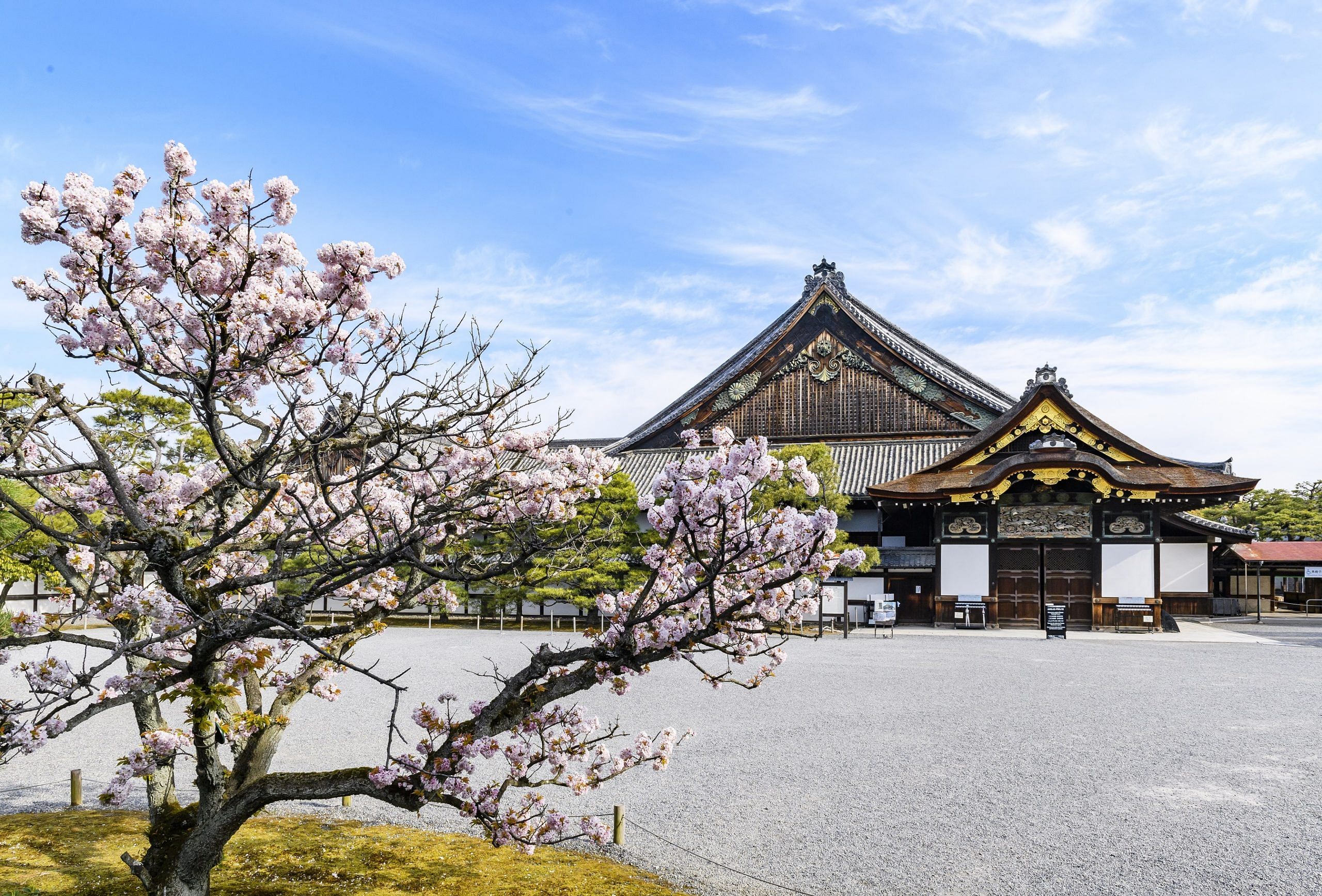 blog-images