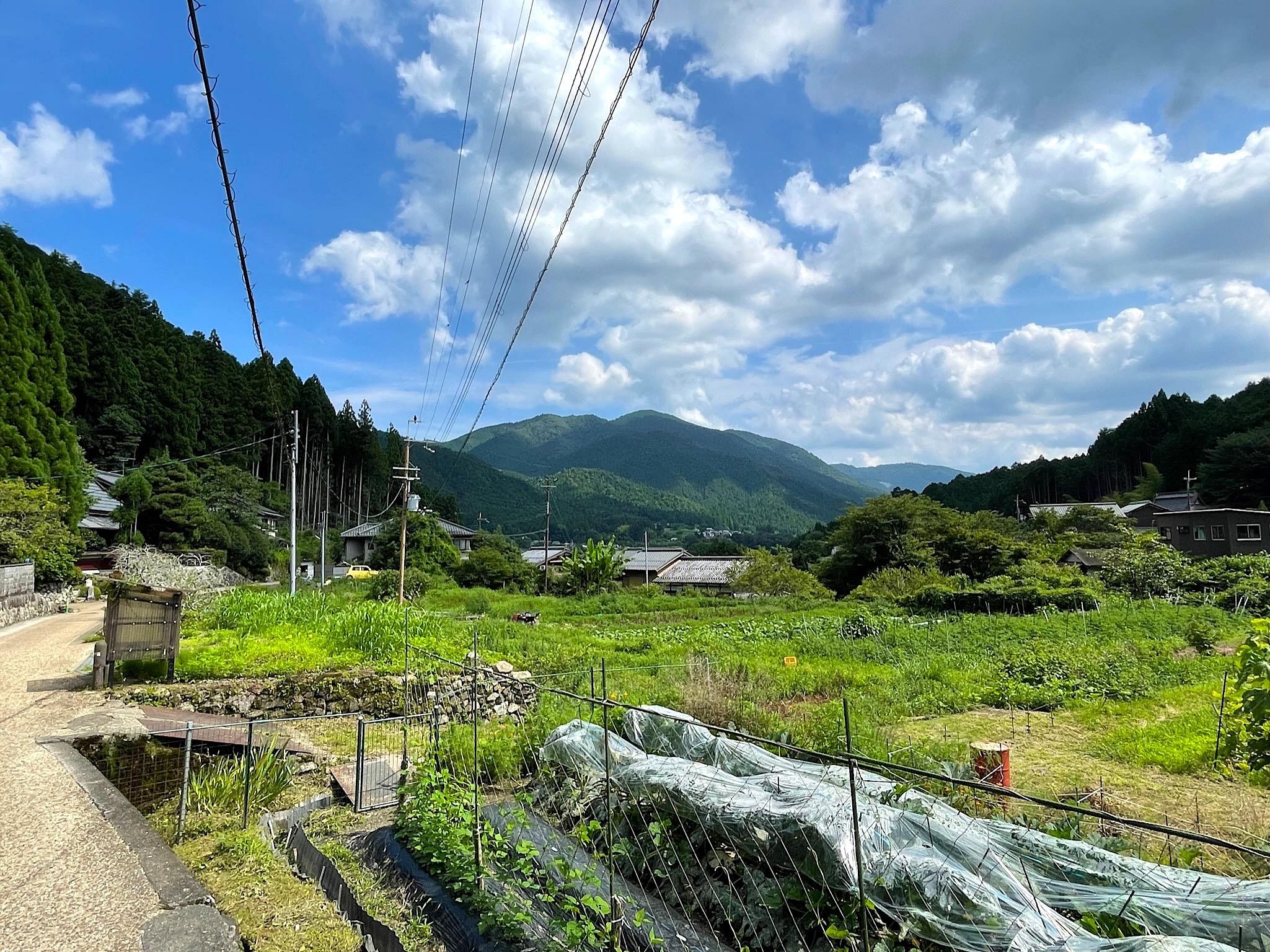 blog-images