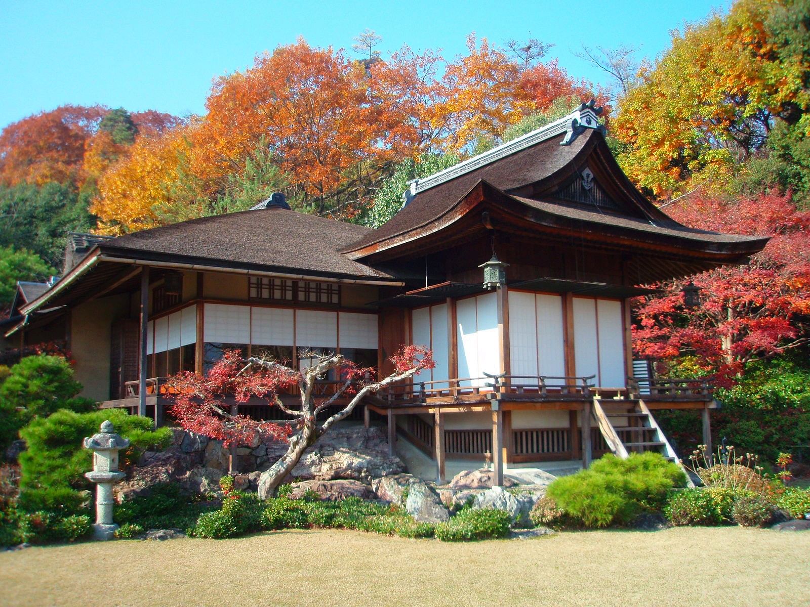 blog-images