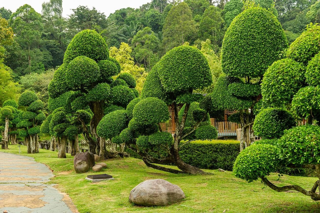 blog-images