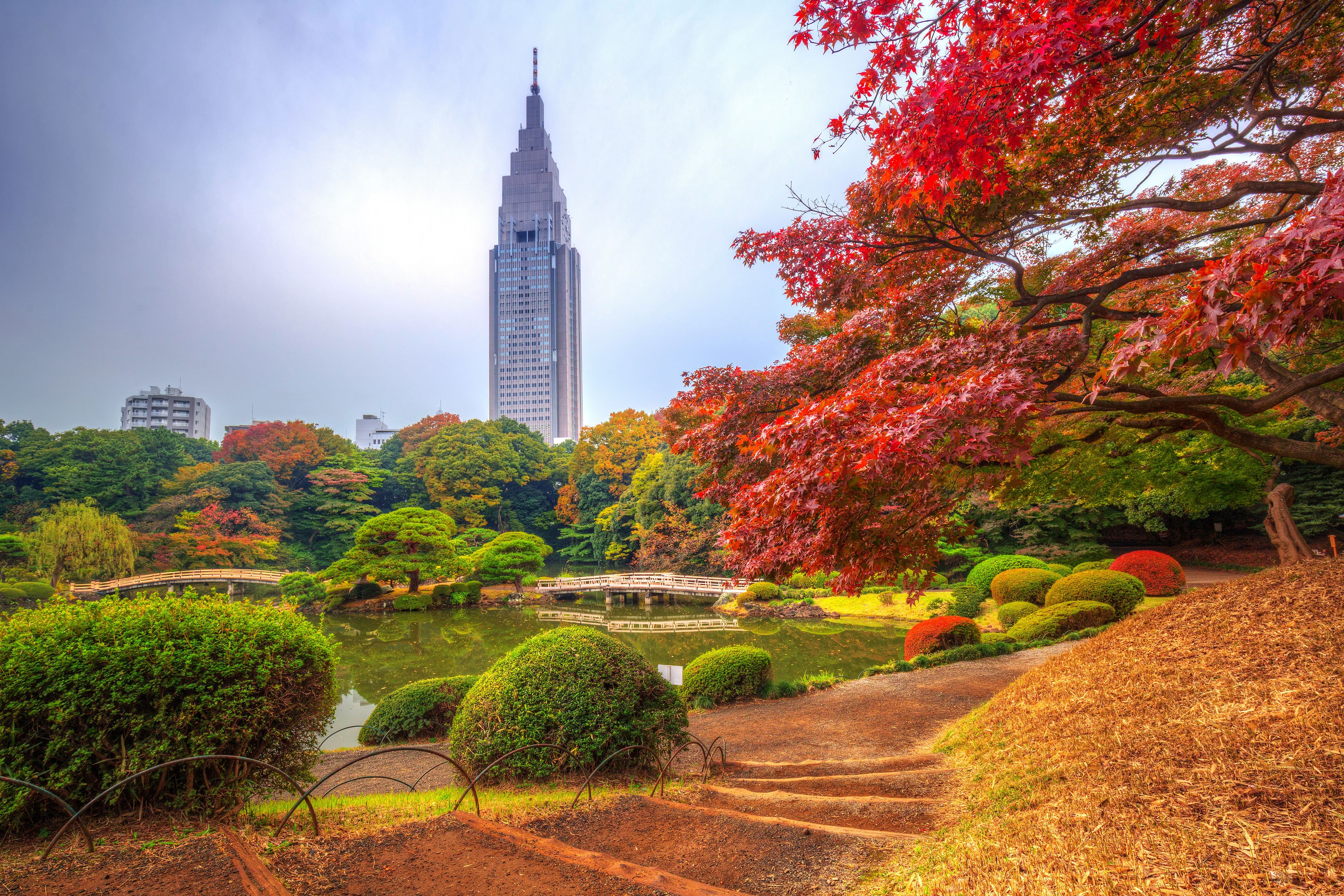 shinjuku-gyoen-national-garden