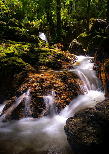 blog-images