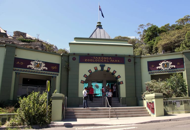 taronga-zoo-in-sydney-australia