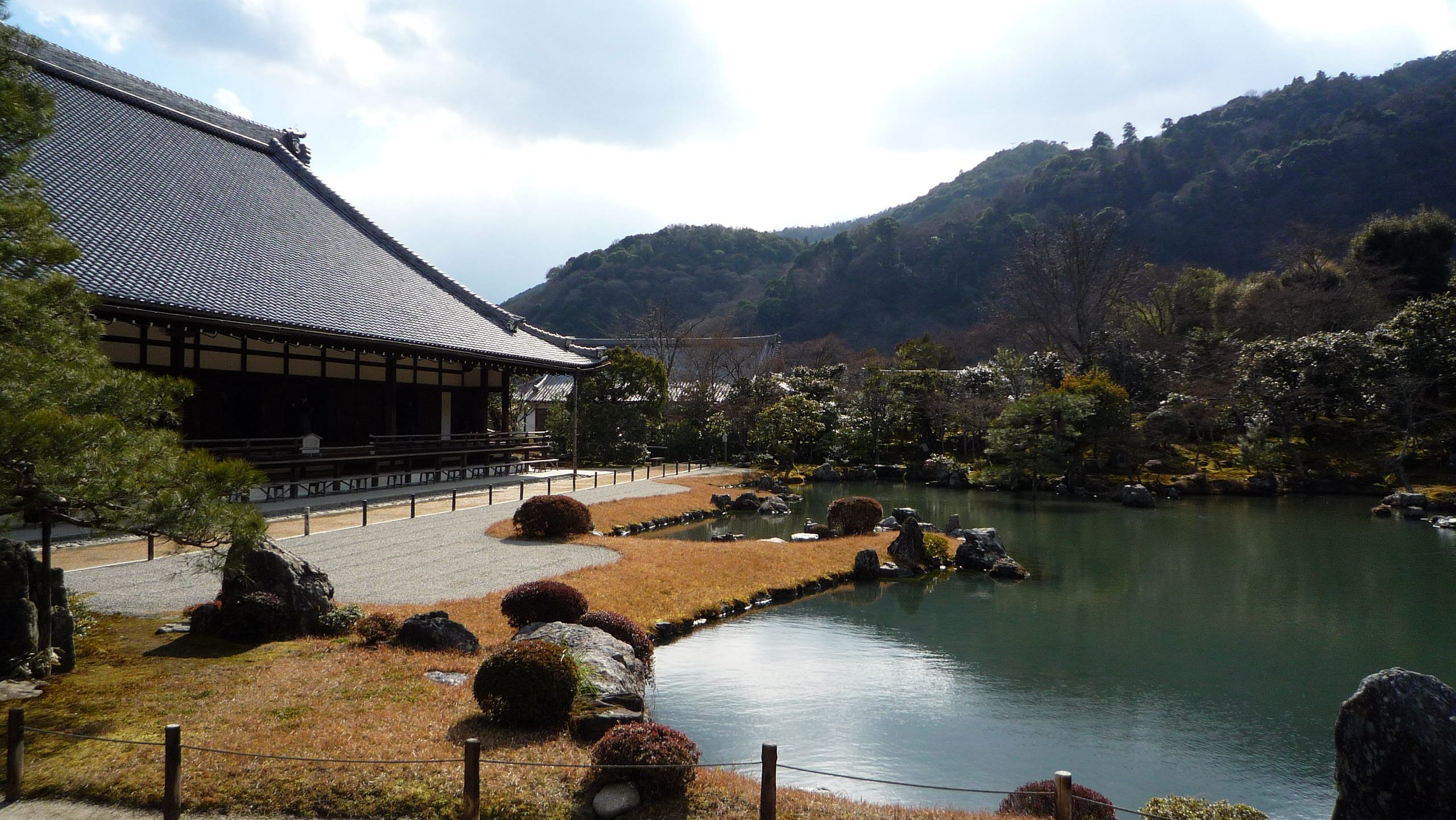 blog-images